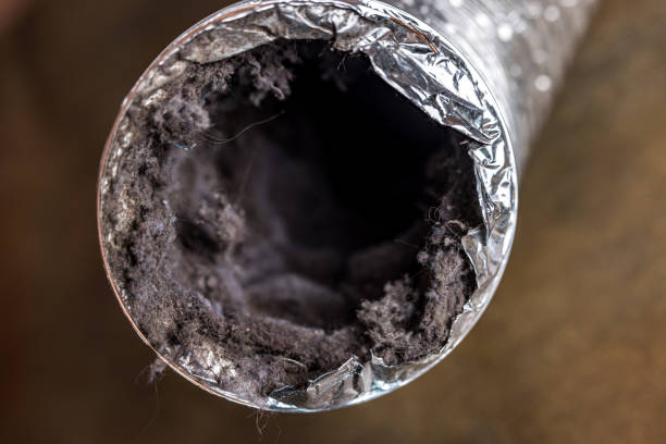 Best Air Duct Cleaning Near Me  in Estelle, LA